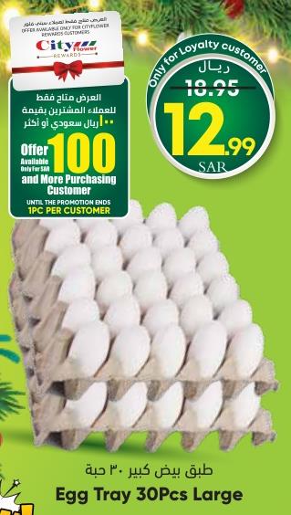 City Max Egg Tray 30Pcs Large 