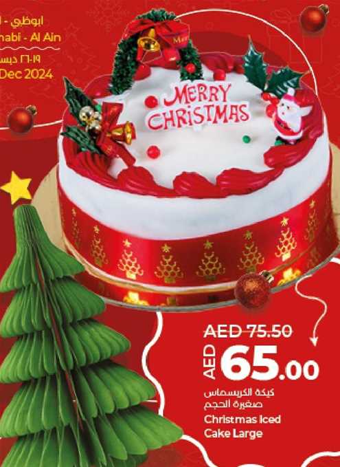 Christmas Iced Cake Large