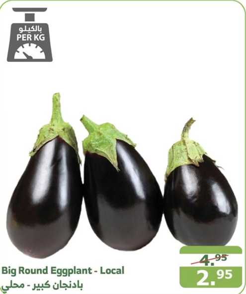 Big Round Eggplant - Local per kg