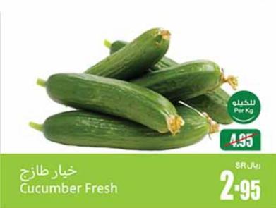 Cucumber Fresh Per Kg