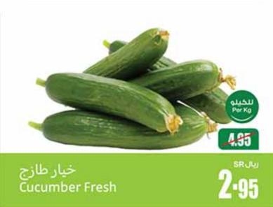 Cucumber Fresh Per Kg