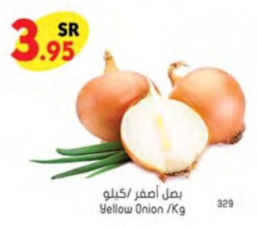 Yellow Onion /Kg