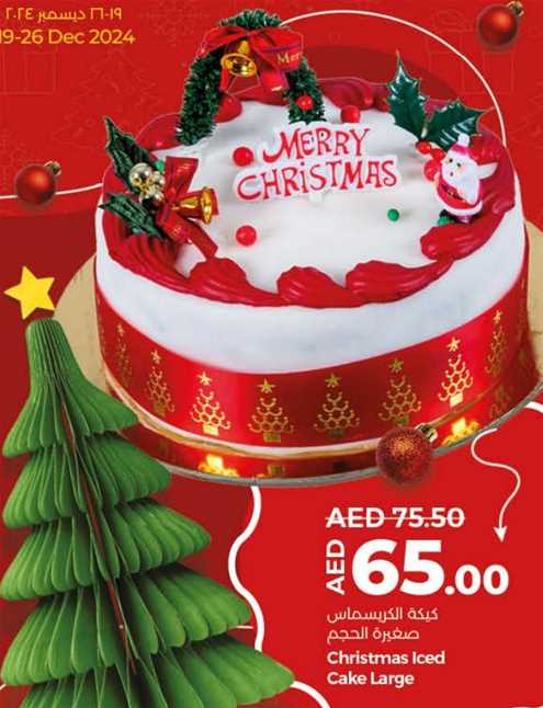 Christmas Iced Cake Large