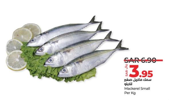 Mackerel Small Per Kg