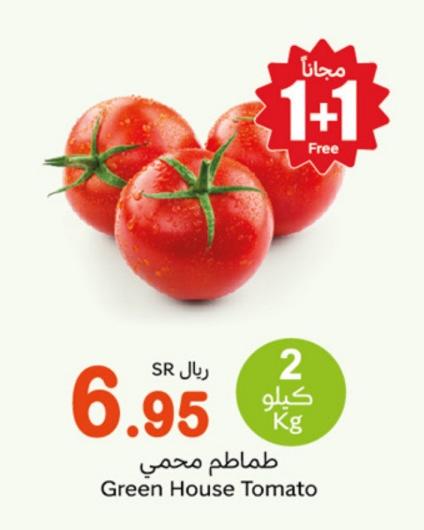 Green House Tomato 2 kg