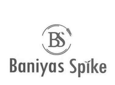 Baniyas Spike